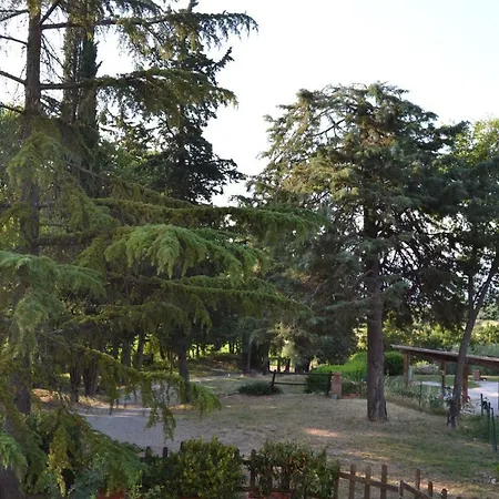 بيت ضيافة Piccolo Ulivo Ranch