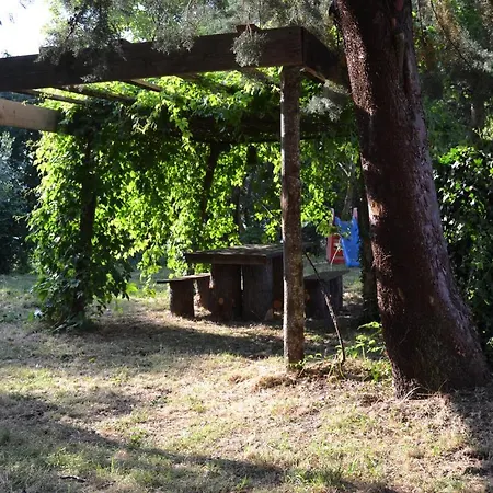 بيت ضيافة Piccolo Ulivo Ranch *