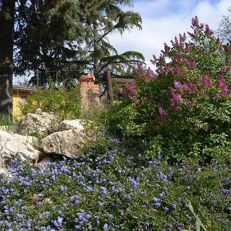 Piccolo Ulivo Ranch Guest house Capolona