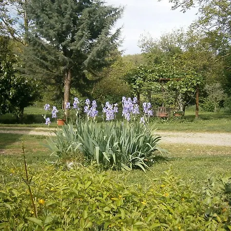 Gasthof Piccolo Ulivo Ranch *