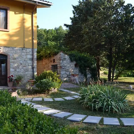 Piccolo Ulivo Ranch Guest house