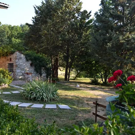 Piccolo Ulivo Ranch Guest house *